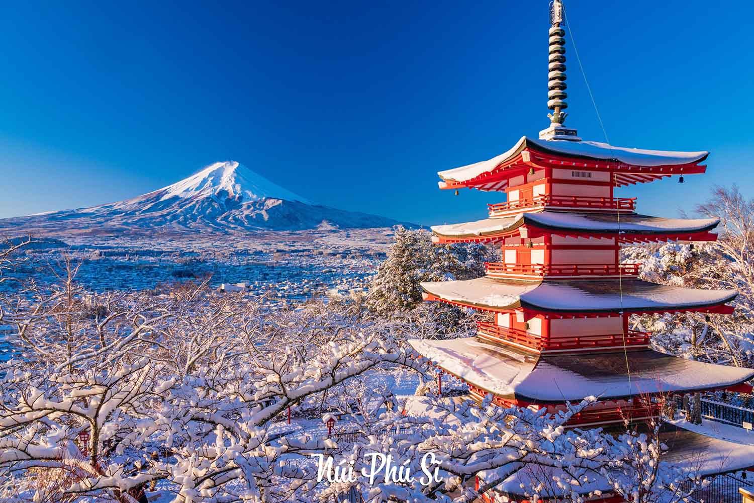 Tour Nhật Bản Osaka - Nara - Kyoto - Nagoya - Yamanashi - Tokyo