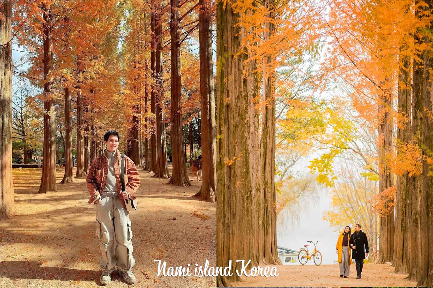 Tour Hàn Quốc - Seoul - Nami - Everland (5 Ngày 5 Đêm)